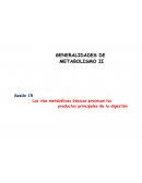Las vías metabólicas básicas procesan los productos principales de la digestión