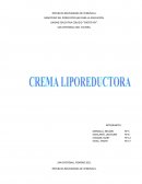 Proyecto de quimica. Propósito Proceso para obtener la Crema