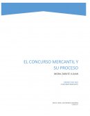 EL RECONOCIMIENTO DE CRÉDITOS: PARTE DE LA PRIMERA ETAPA DEL CONCURSO MERCANTILs