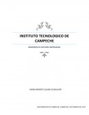 Ensayo modelos de pensamiento