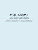 PRACTICA NO.1 CROMATOGRAFIA DE CAPA FINA