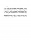 Caso parmalat INTRODUCCIÓN