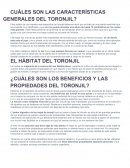 CUÁLES SON LAS CARACTERÍSTICAS GENERALES DEL TORONJIL?