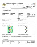 Quimica Participación en la transmisión de información hereditaria y en la determinación de proteínas que una célula debe producir.