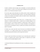 Monografia de el aborto