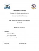 Empresa Digital, Modelos de comercio electrónico