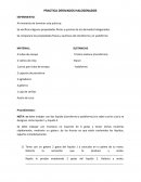 PRACTICA DERIVADOS HALOGENADOS