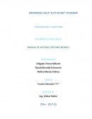 EL MANUAL DEL SISTEMA CONTABLE BRANDON SISTEMAS