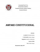 Escuela de Derecho Amparo Constitucional