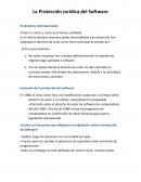La Protección Jurídica del Software