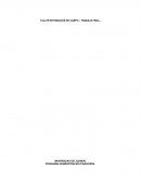 TALLER INTEGRADOR DE CAMPO – TRABAJO FINAL