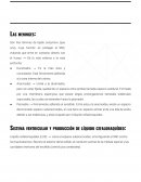 Sistemas de mantenimiento y protección del SNC