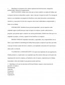 Como se identifica los elementos de la cultura organizacional (motivaciones, integración, productividad, valores de la organización)