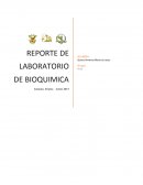 DETERMINACIÓN DE GONADOTROPINA CORIÓNICA HUMANA EN SANGRE: PRUEBA DE EMBARAZO