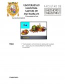 MUTAGENIC ACTIVATION OF AROMATIC AMINES BY MOLLUSCS AS A BIOMARKER OF MARINE POLLUTION