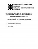 NEUMATICOS - Trabajo Integrador Grupal