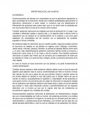 LA IMPORTANCIA DE LAS PLANTAS