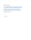 PRINCIPALES DETERMINANTE DE LA PERSONALIDAD.