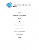 TRABAJO AUTONOMO. HUELLA DE CARBONO