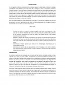 DETERMINACIÓN DEL NÚMERO DE EJES EQUIVALENTES