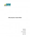 Mini-proyecto: Insecto Robot