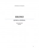 BROMO UNIVERSIDAD DE GUANAJUATO