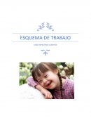 ESQUEMA DE TRABAJO CASO ESPECÍFICO (CAM 90)