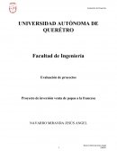 Proyecto de inversión venta de papas a la francesa