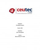 Guía de Preguntas Ps. de los Grupos