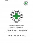 Cuales son los mejores Servicios de limpieza