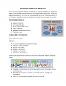 Adaptación curricular intelectual