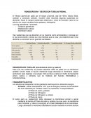 REABSORCION Y SECRECION TUBULAR RENAL