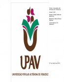 Tema: Causales del Divorcio en Veracruz