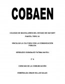 LA CULTURA Y LA COMUNICACIÓN PÚBLICA EN EL SISTEMA DE MEDIOS DE COMUNICACIÓN MASIVA