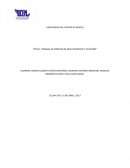 EL GRAN MANUAL DE PROCESO DE RECLUTAMIENTO Y SELECCIÓN