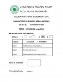 Informe TEMA: ESTUDIO DE LA LLAMA