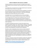 EL IMPACTO AMBIENTAL POR CAUSA DE LA MINERIA