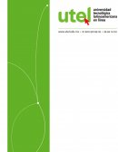 Como se Detalla el origen y la evolución del problema.