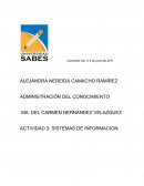 Ealiza una investigación de campo en negocios o empresas de la localidad para conocer qué sistemas de información manejan, como resultado de tu investigación responde a las preguntas siguientes
