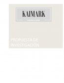 Definición del Problema Y Objetivos de Investigación