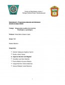 Proporciona Atención de Enfermería