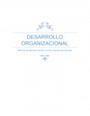 Reporte de aplicación del DO en una empresa del mercado