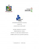 REFLEXIÓN EN LA ACCIÓN DE LA PRÁCTICA DOCENTE