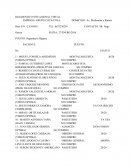 GUEL FONSECA ARIZMENDI	MONTACARGUISTA	20/20 (VISION OPTIMA)	NO COMPRO