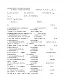 GUEL FONSECA ARIZMENDI	MONTACARGUISTA	20/20 (VISION OPTIMA)	NO COMPRO