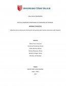 La gran Influencia de los sistemas de información transaccional del instituto Americano sede Huaycan