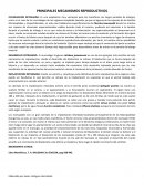 Principales mecanismos de reproduccion en mamiferos