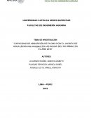 CAPACIDAD DE ABSORCIÓN DE PLOMO POR EL JACINTO DE AGUA (Eichhornia crassipes) EN LAS AGUAS DEL RIO RÍMAC EN EL AÑO 2016