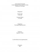 Se ha dicho mucho de diversidad en cuanto la edad, generó, raza, religión u estatus de discapacidad