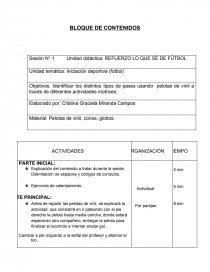 Identificar los distintos tipos de pases usando pelotas de vinil a través de diferentes actividades motrices. Página 1
